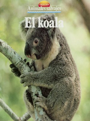 cover image of El koala